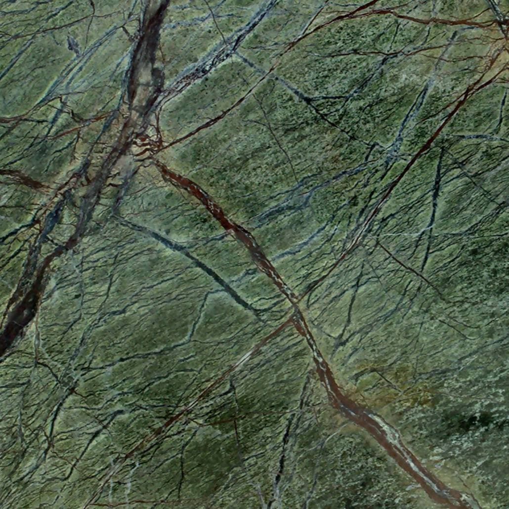 Rainforest Green