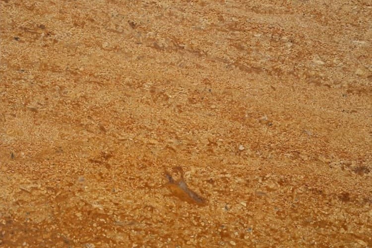 Asian Gold Sandstone