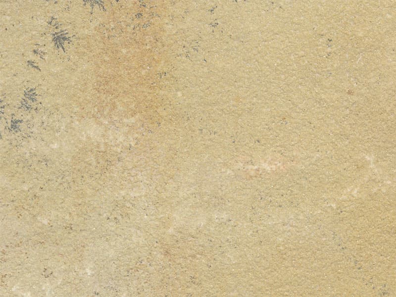 Mint Fossil Natural